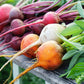 BEETS 'Rainbow Mix'
