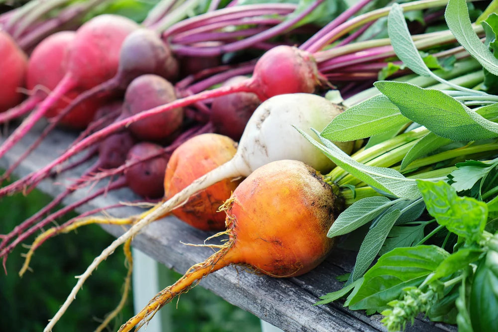 BEETS 'Rainbow Mix'