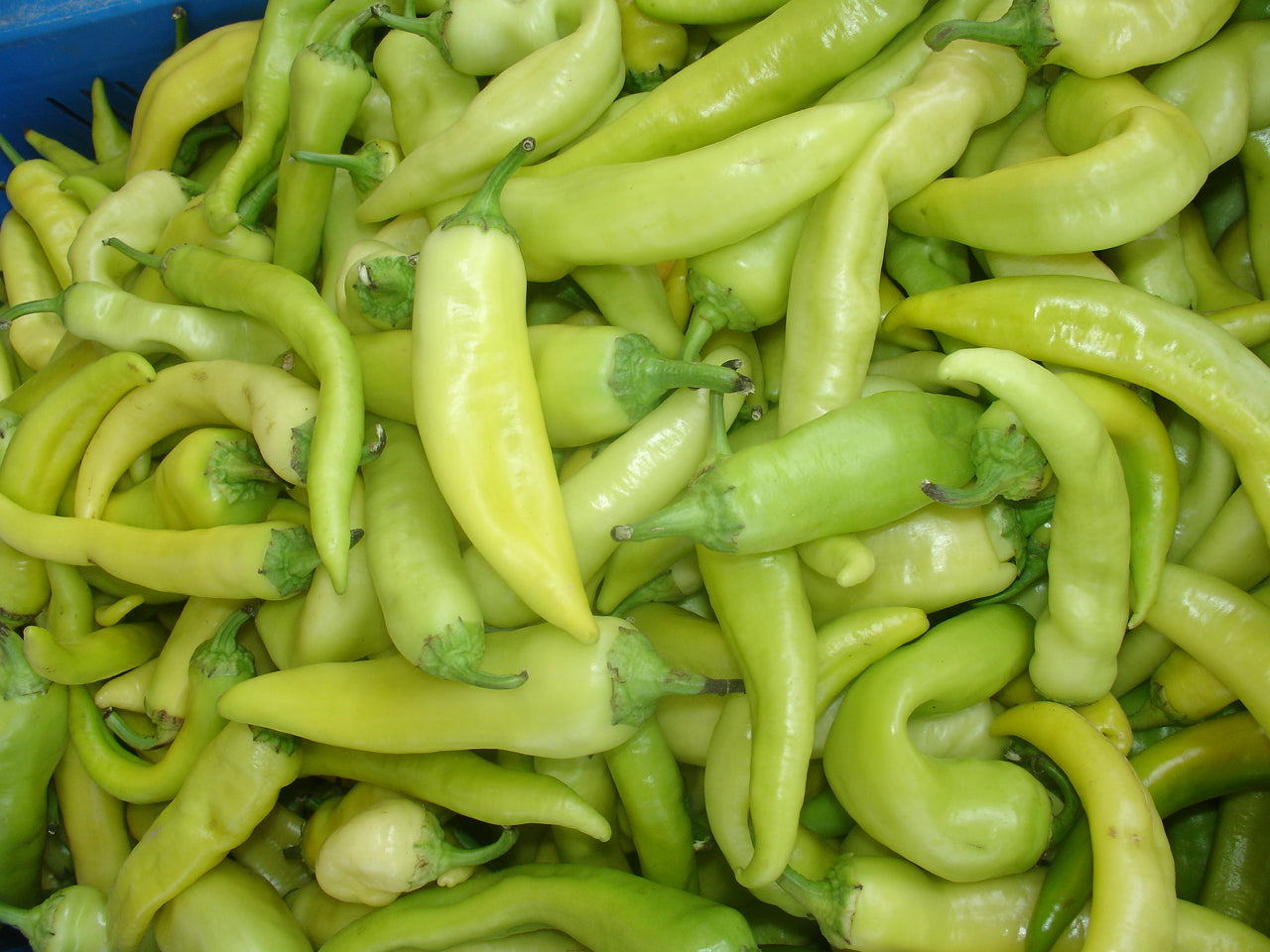 PEPPER 'Sweet Banana'