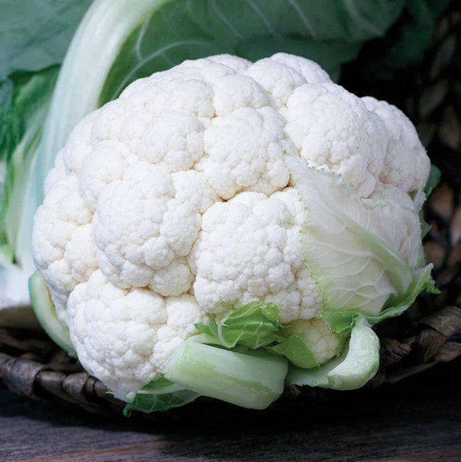 CAULIFLOWER 'Twister'