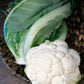 CAULIFLOWER 'Twister'