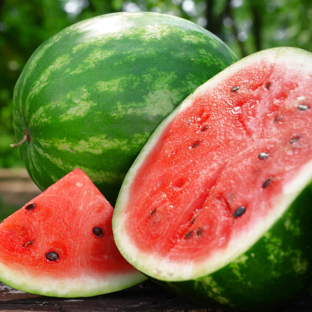 MELON 'Crimson Sweet Watermelon'