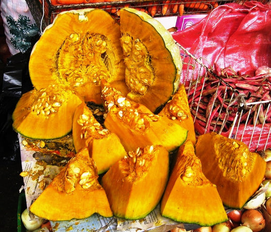 SQUASH 'Zapallo Chileno'