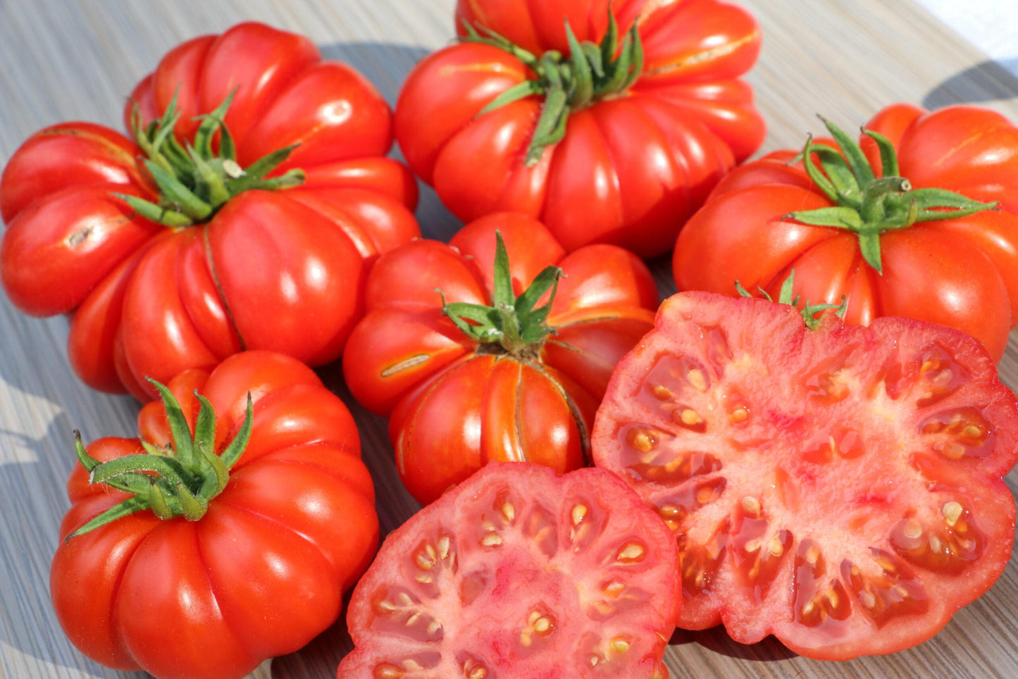 TOMATO 'Costoluto Genovese'