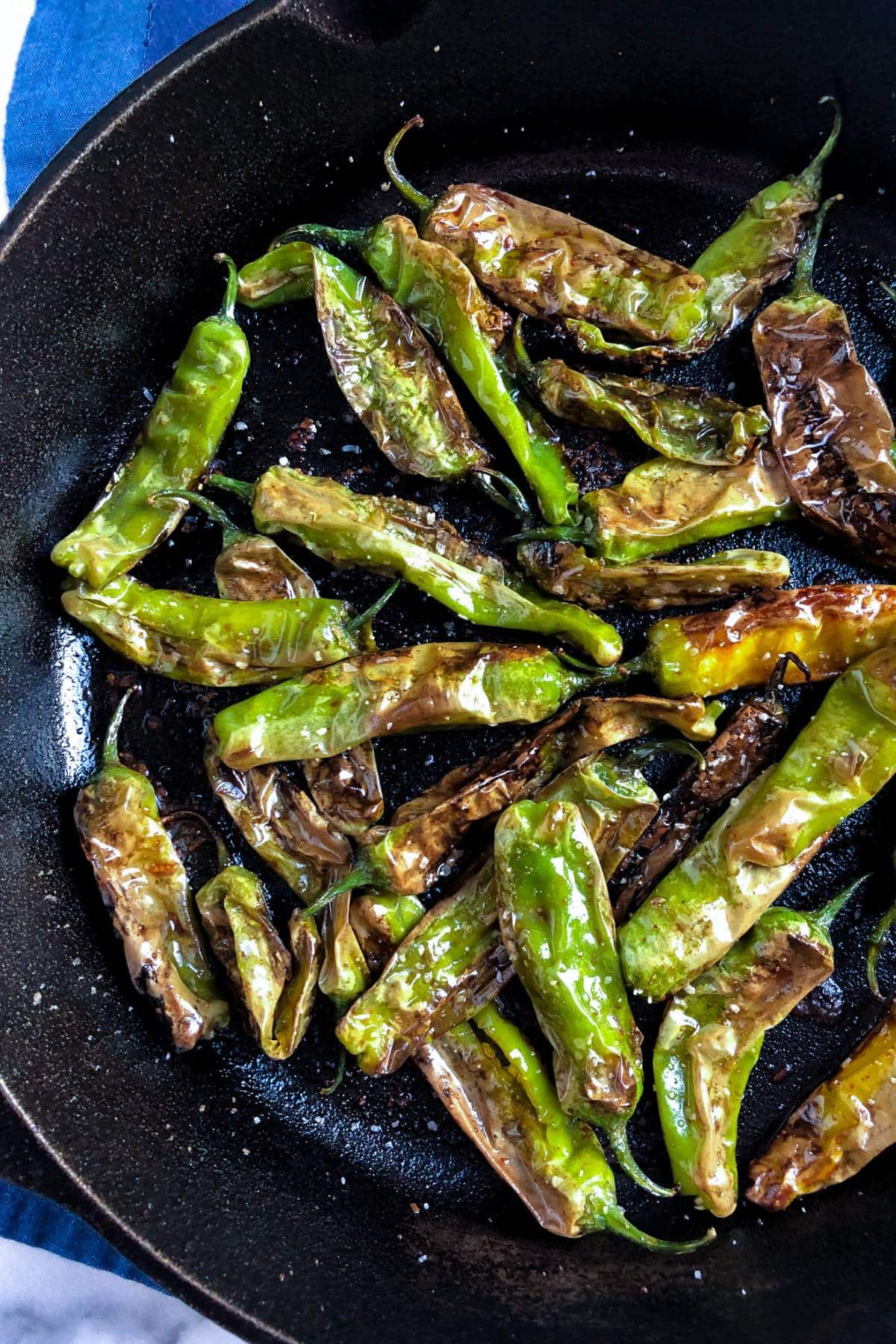 PEPPER 'Shishito'