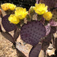 Opuntia macrocentra --Purple Prickly Pear--