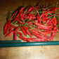 PEPPER 'Xigole'
