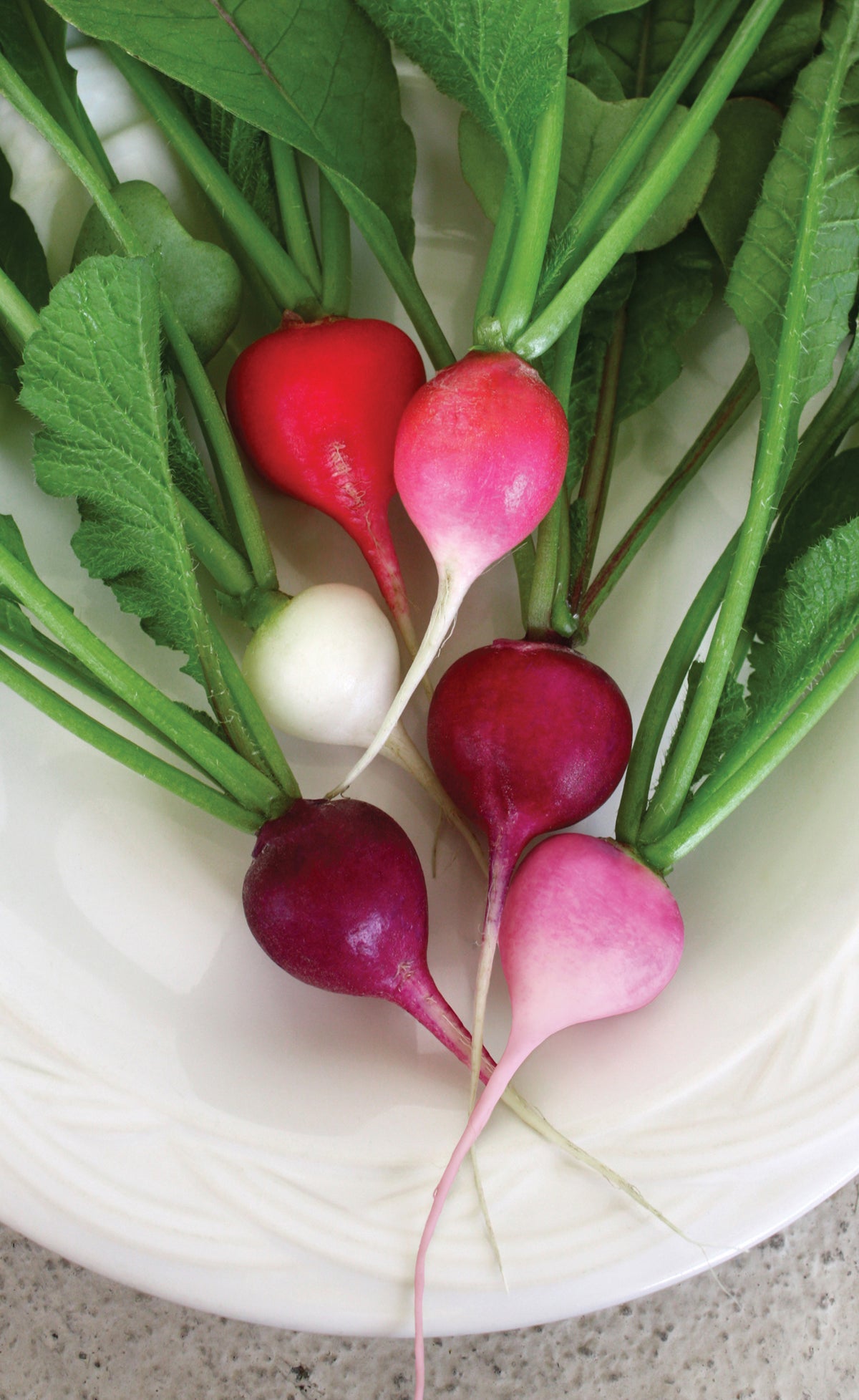 RADISHES 'Easter Egg II'