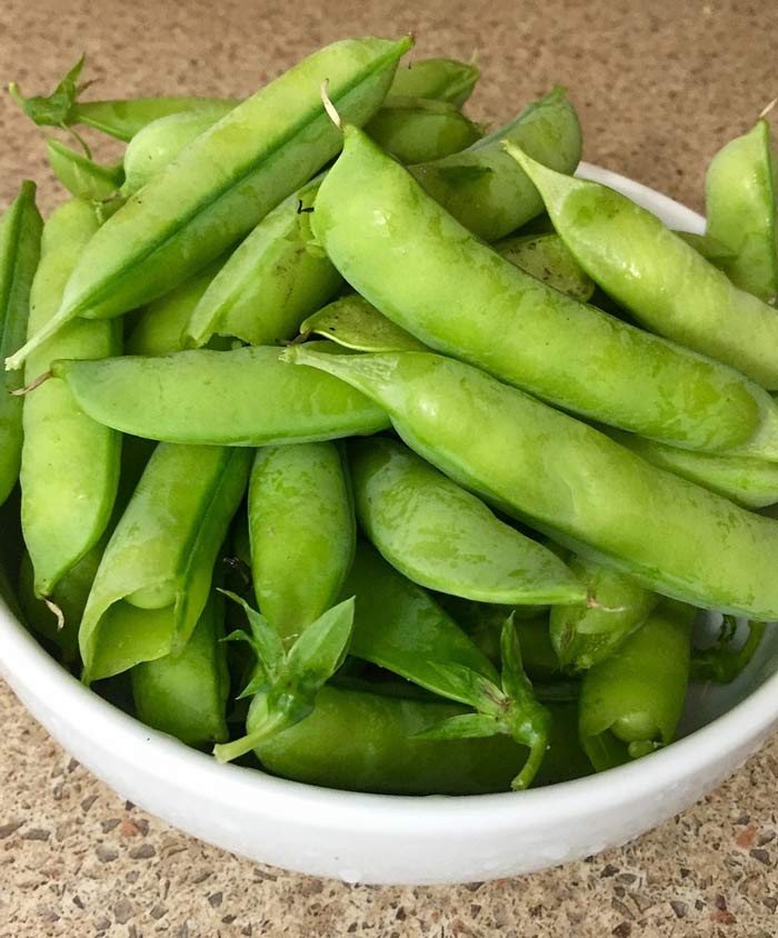 PEA 'Cascadia'