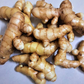 GINGER 'Mango' --Curcuma amada--