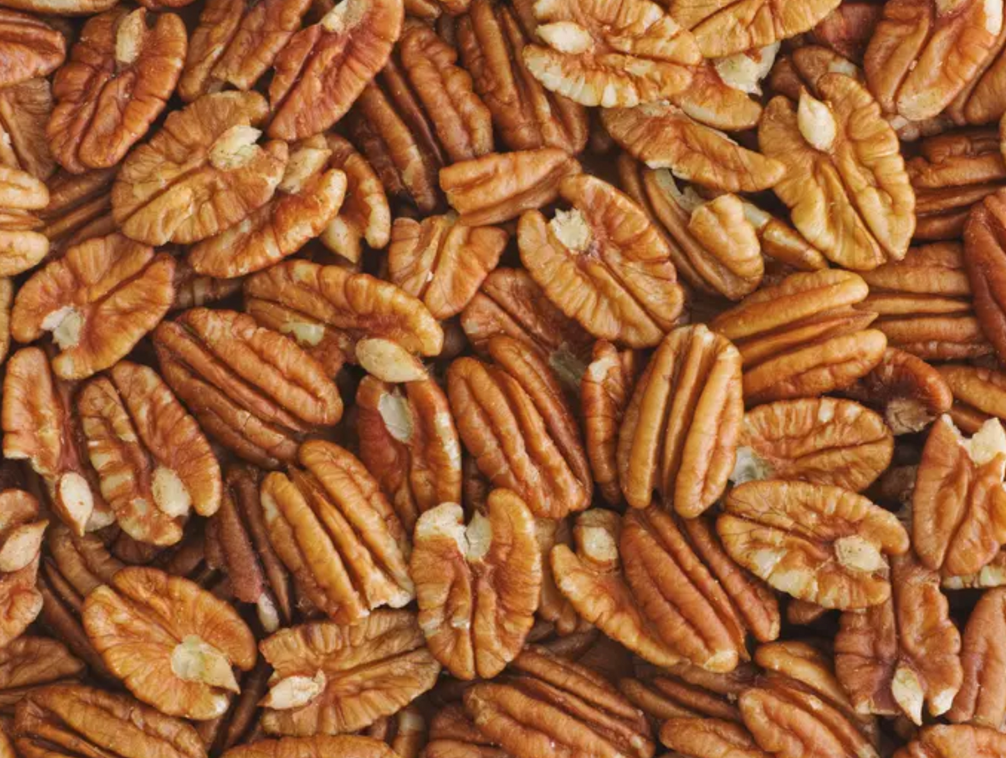 PECAN 'Hirishi' --Carya illinoinensis--