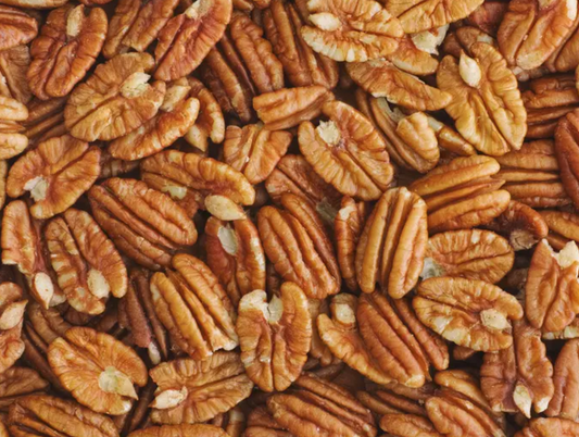PECAN 'Kanza' --Carya illinoinensis--