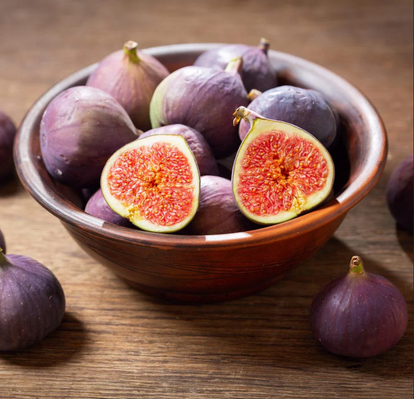 FIG 'LSU Purple' --Ficus carica--