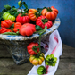 TOMATO 'Mushroom Basket'