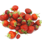 STRAWBERRY 'Sequoia' --Fragaria x ananassa--