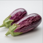 EGGPLANT 'Annina'