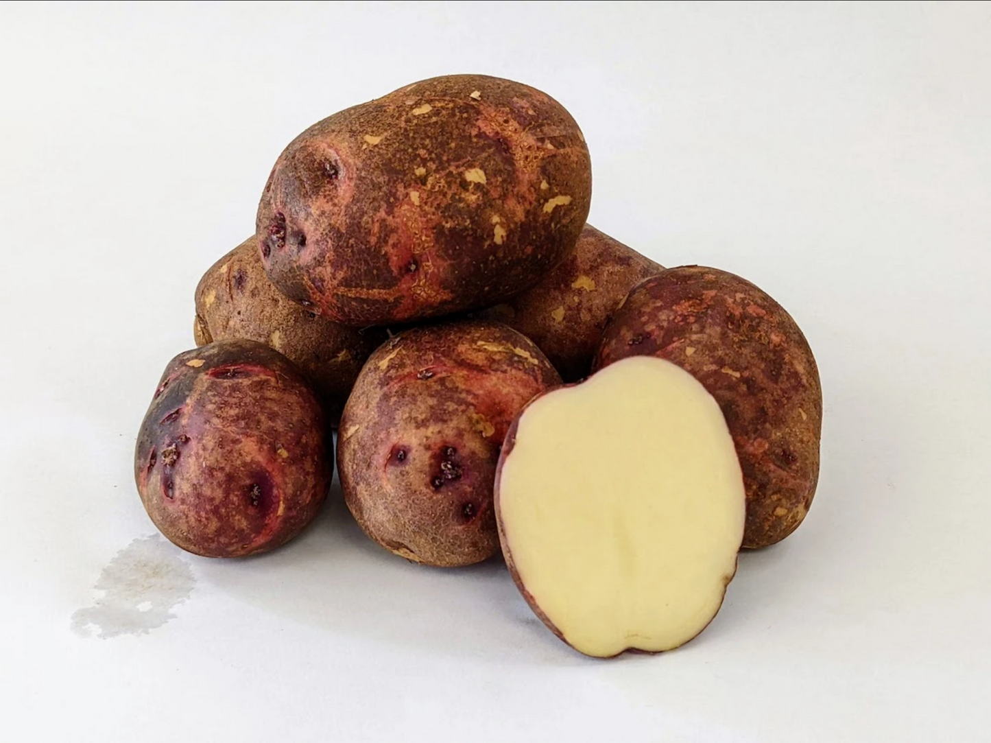 POTATO 'Purple Viking'