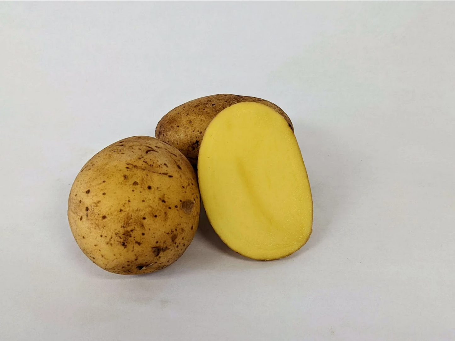 POTATO 'Soraya'