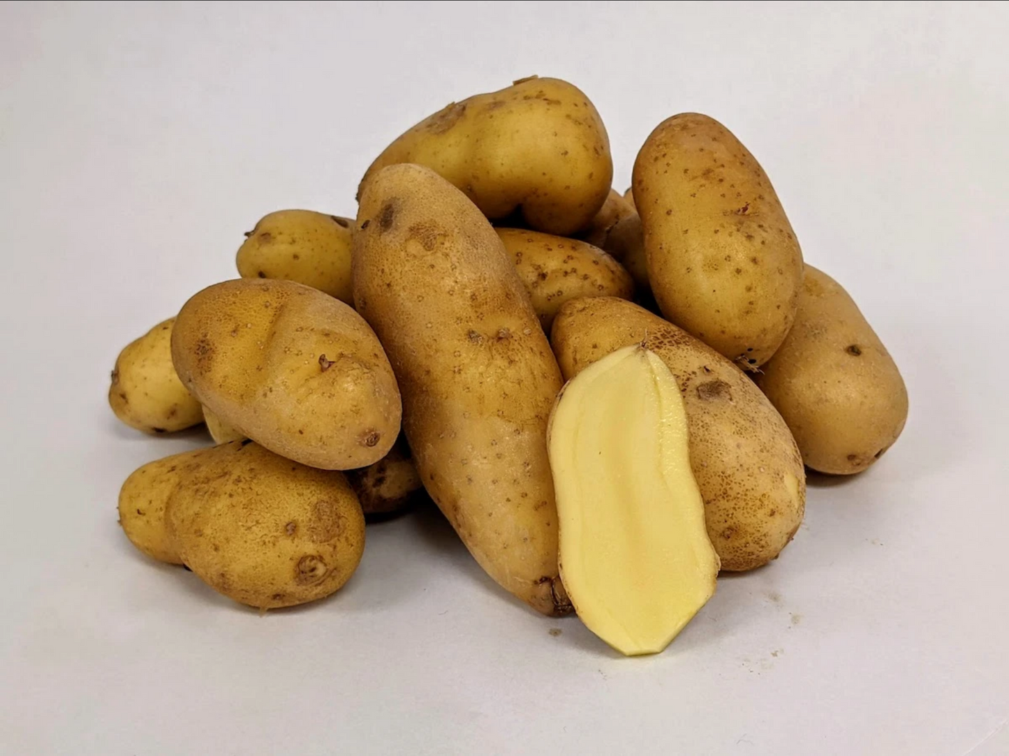 POTATO 'Banana Fingerling'