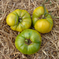 TOMATO 'Aunt Ruby's German Green'