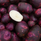 POTATO 'Purple Viking'