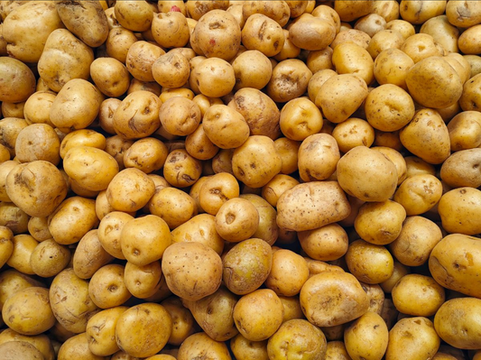 POTATO 'Soraya'