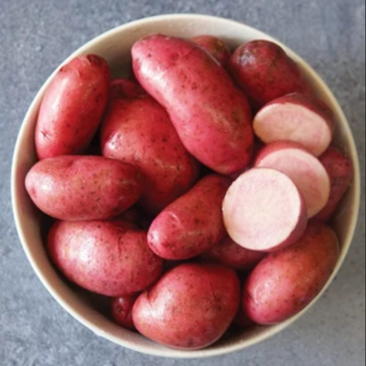 POTATO 'Strawberry Paw'