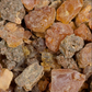 MYRRH 'Marchand's' --Commiphora marchandii--
