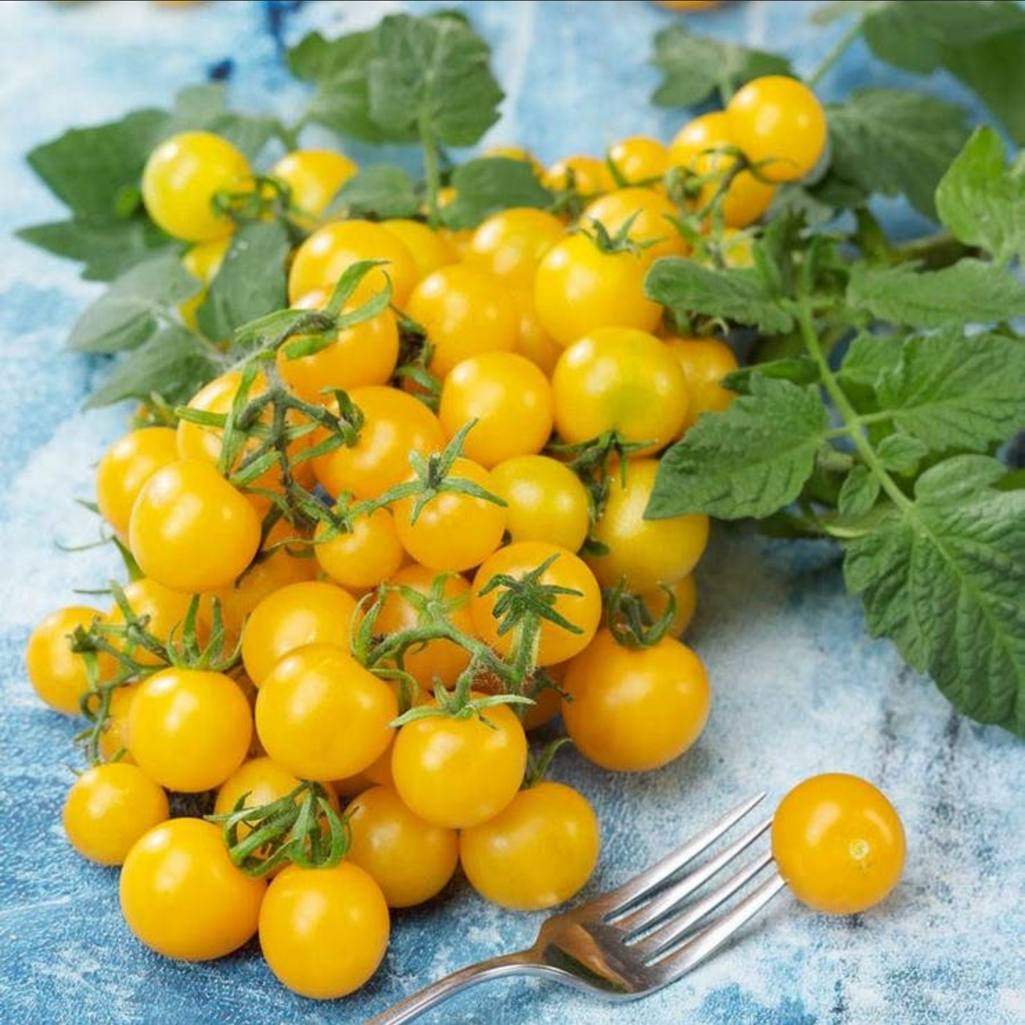 TOMATO 'Lemon Drop'