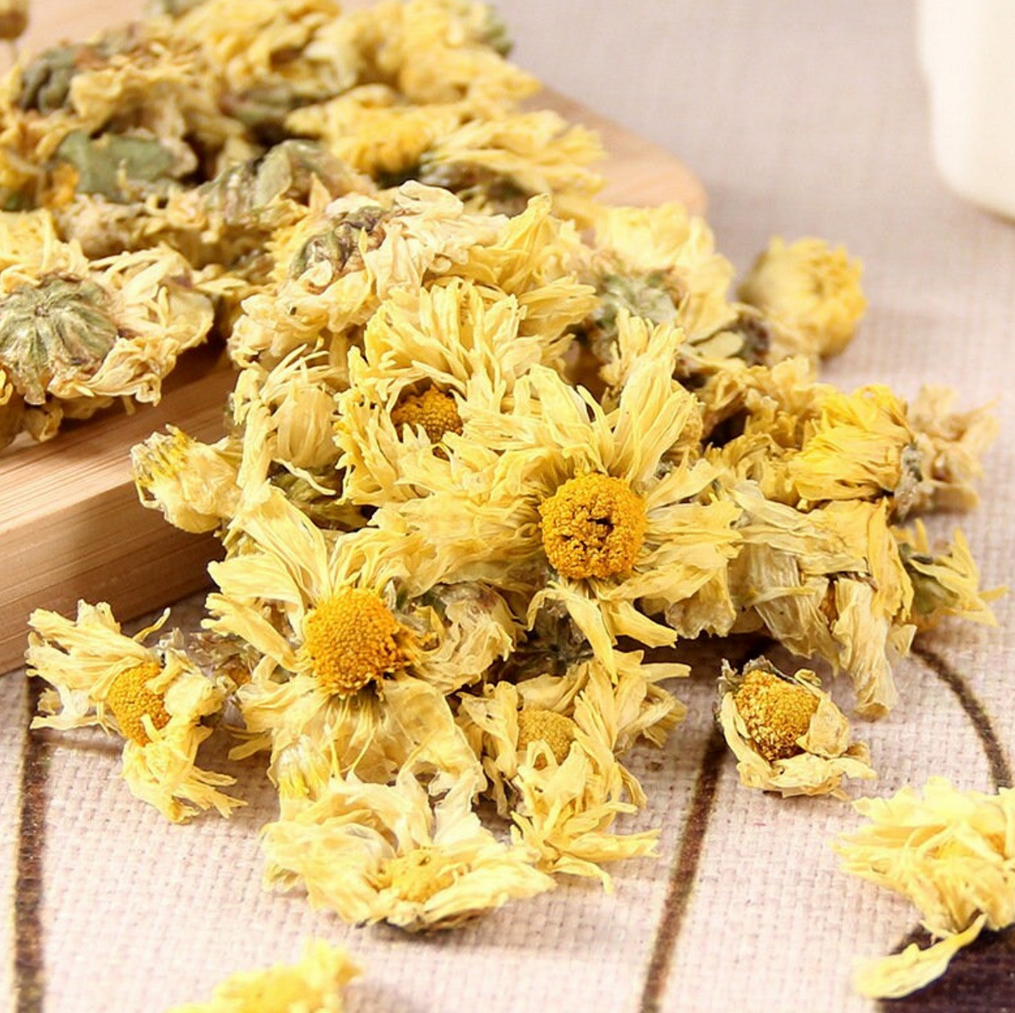 CHRYSANTHEMUM 'White Tea' --Chrysanthemum morifolium--