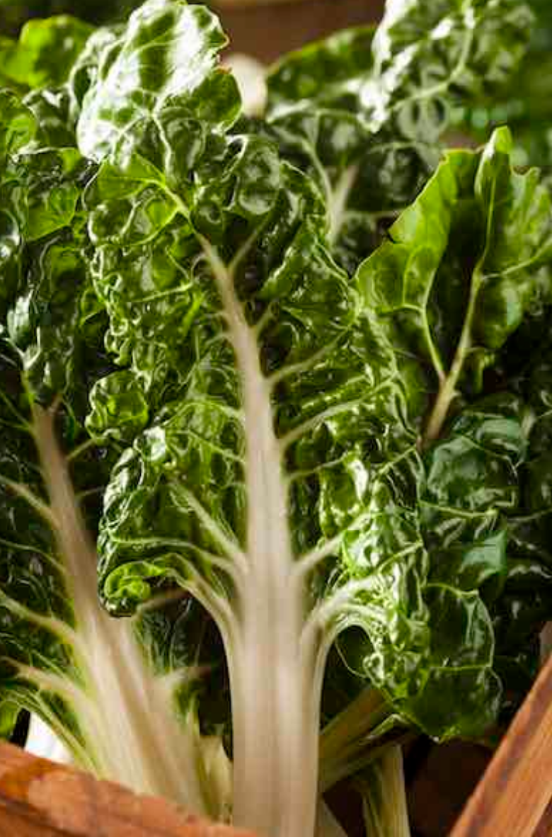 CHARD 'Silverado'