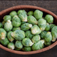BRUSSELS SPROUT 'Igor'