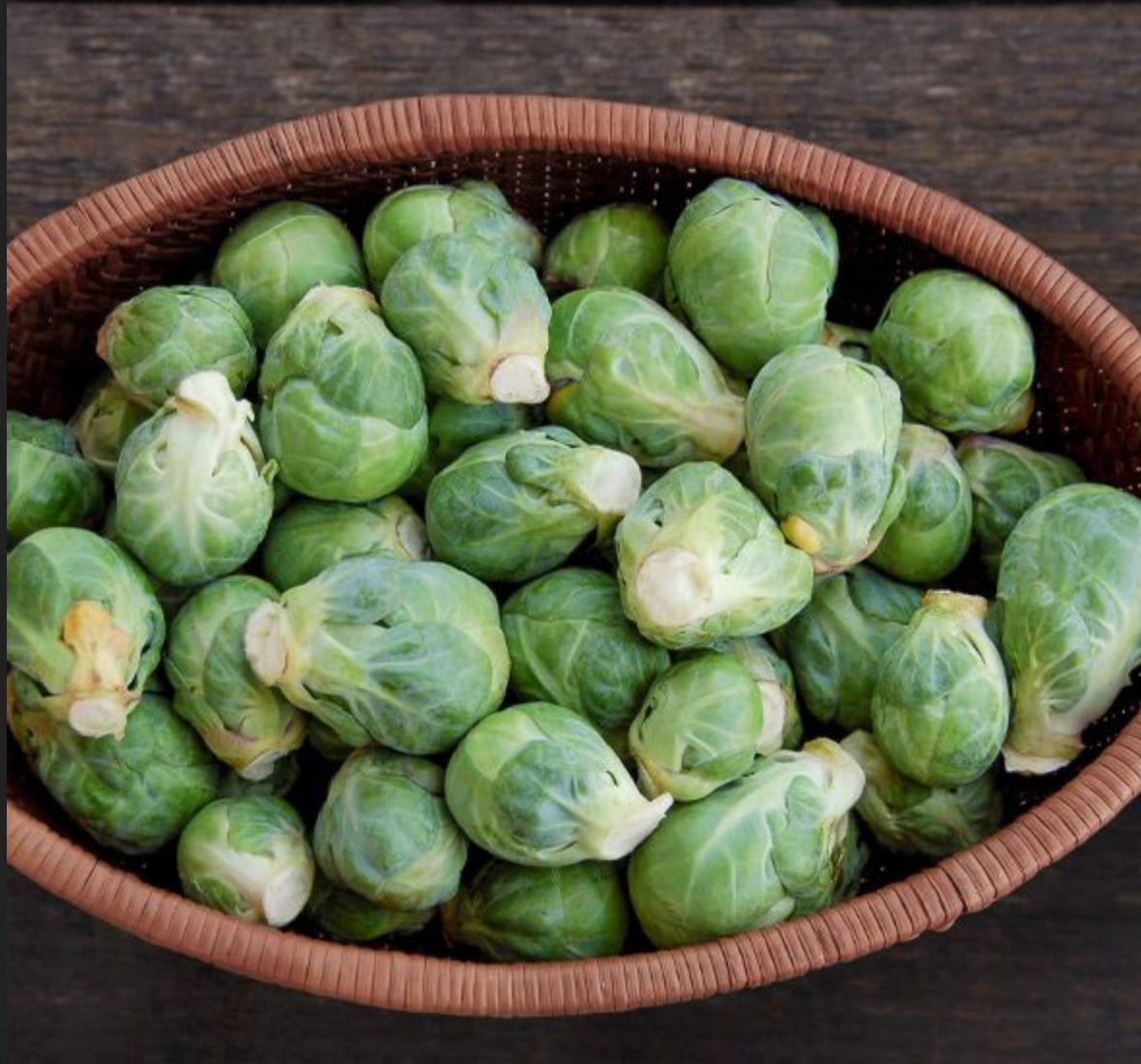 BRUSSELS SPROUT 'Igor'