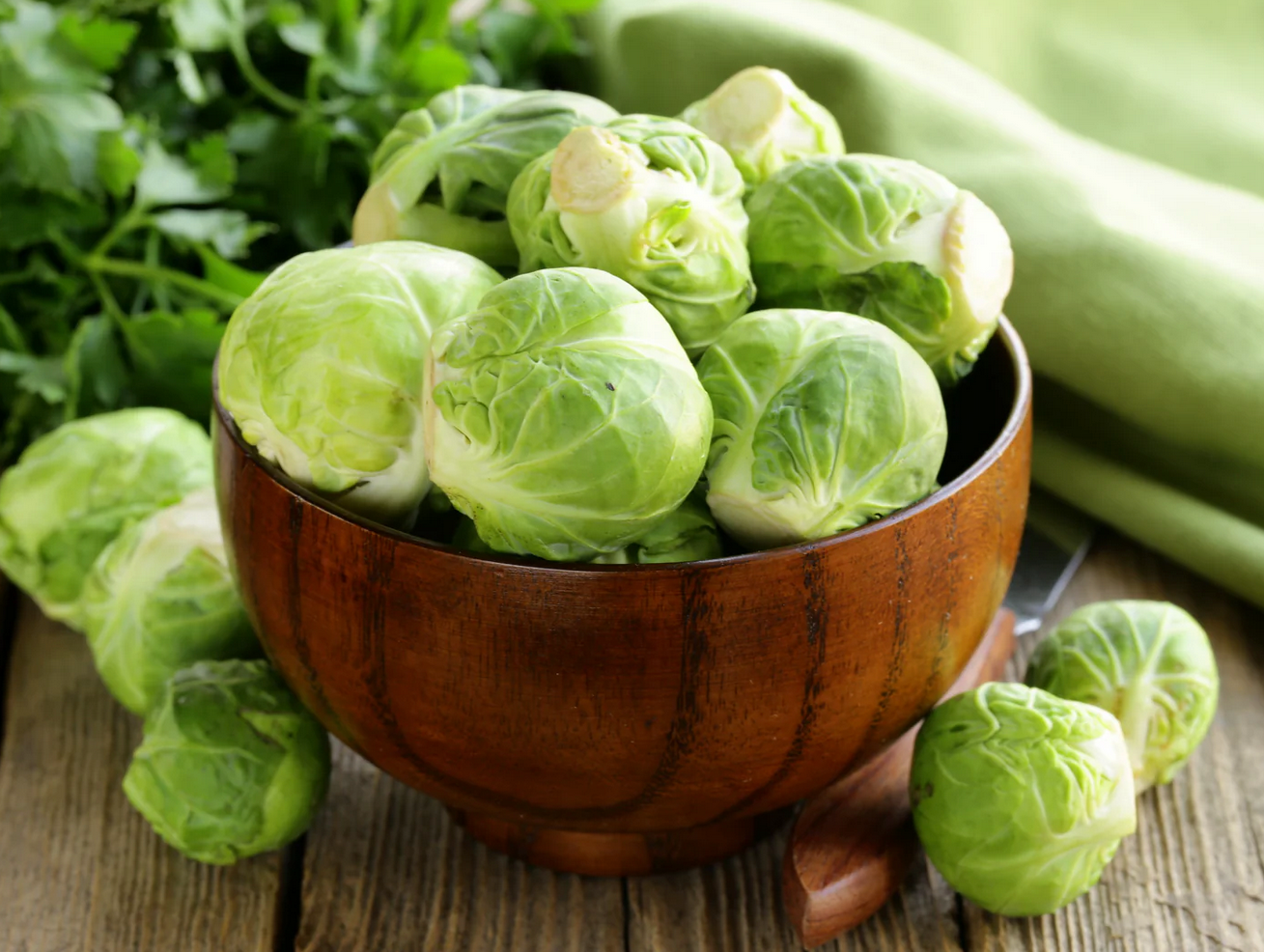 BRUSSELS SPROUT 'Catskill'