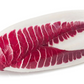RADICCHIO 'Treviso Red'