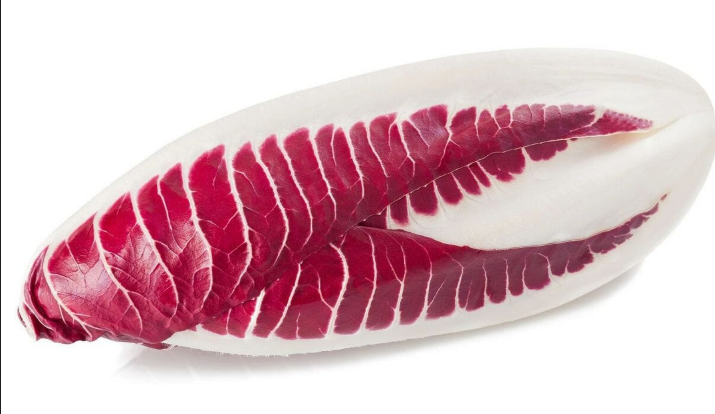 RADICCHIO 'Treviso Red'