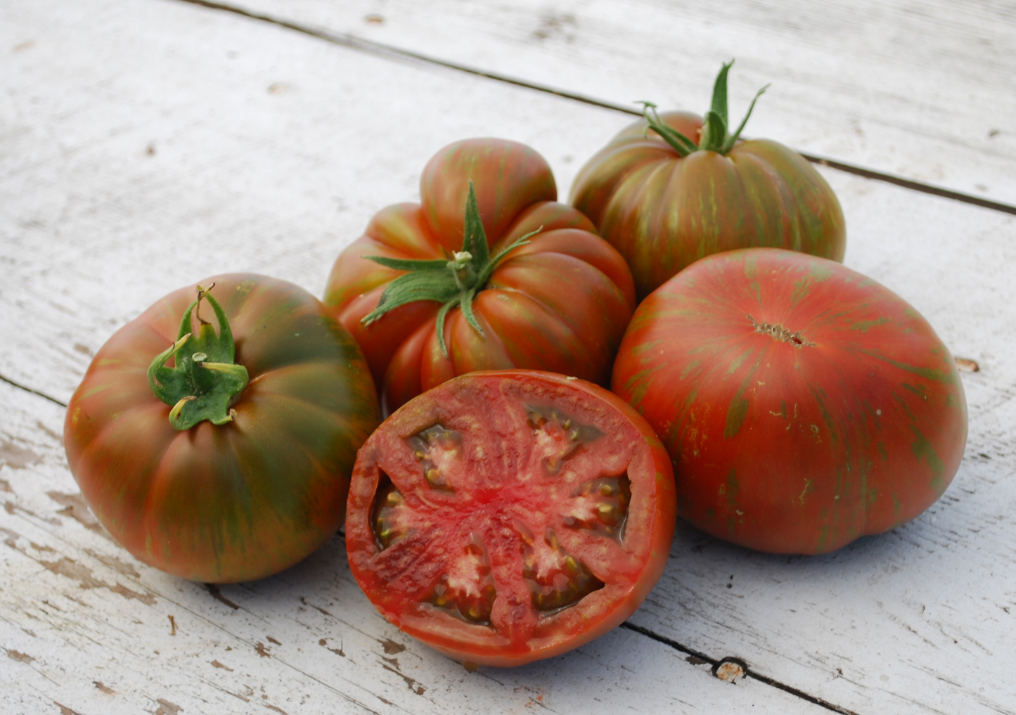 TOMATO 'Large Barred Boar'