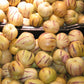 MELON 'Pepino' --Solanum muricatum--