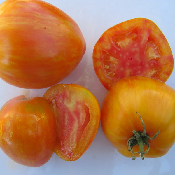 TOMATO 'Bleeding Heart'