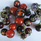 TOMATO 'Blue Berries'