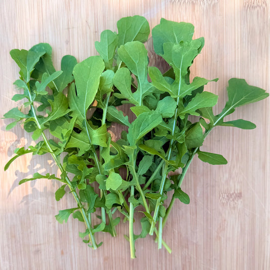 ARUGULA 'Esmee' --Eruca vesicaria--