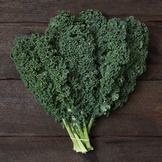 KALE 'Arun'