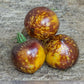 TOMATO 'Blue Gold'