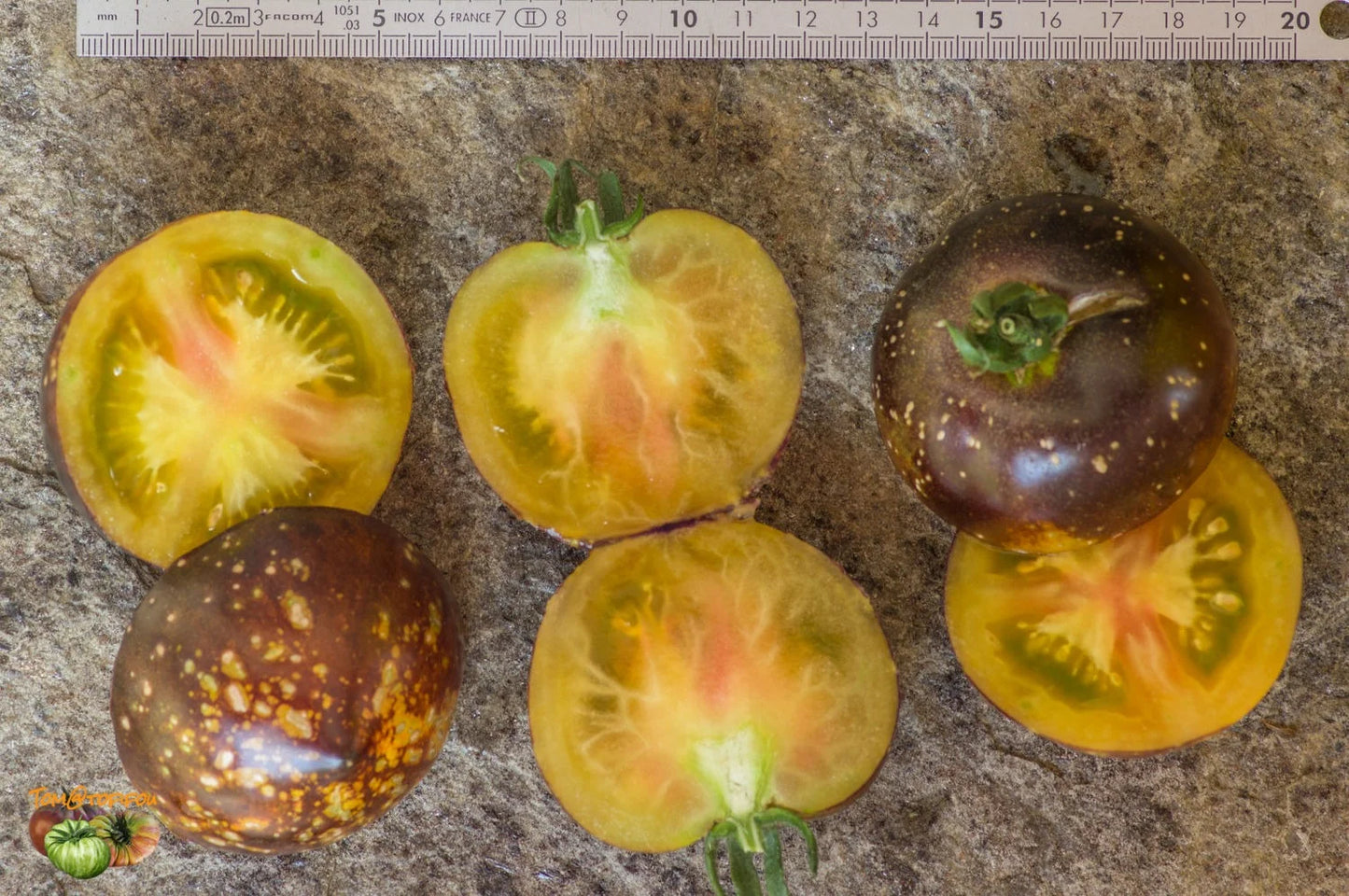 TOMATO 'Blue Gold'