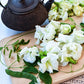 PEA 'White Queen Butterfly' --Clitoria ternatea var. albiflora--