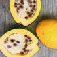 PAPAYA 'Wild' --Carica cauliflora--