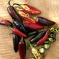 PEPPER 'Czech Black'