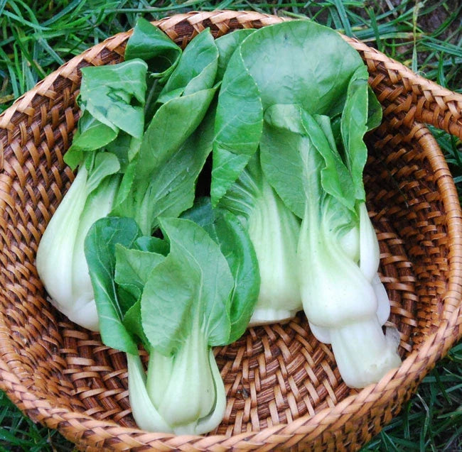 ASIAN GREENS 'Dwarf Four Inch'