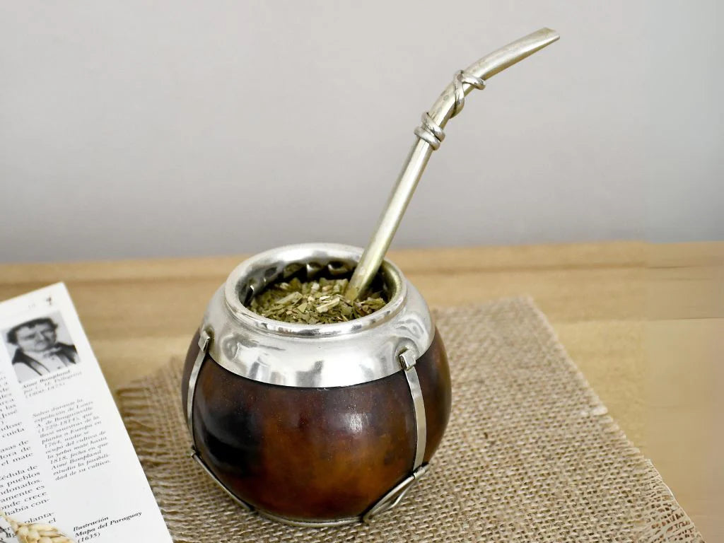 YERBA MATE --Ilex paraguariensis--