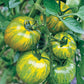 TOMATO 'Green Zebra'
